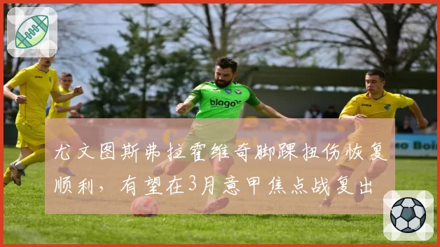 尤文图斯弗拉霍维奇脚踝扭伤恢复顺利,有望在3月意甲焦点战复出
