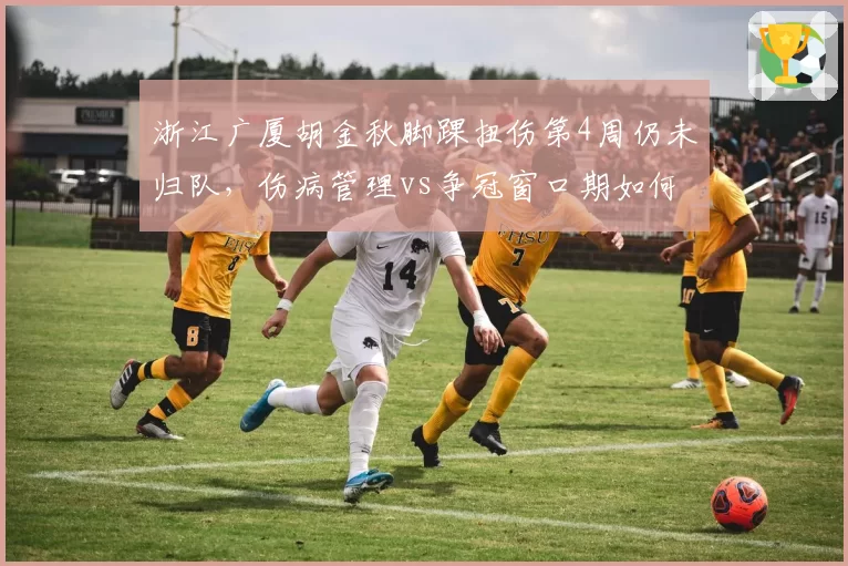 浙江广厦胡金秋脚踝扭伤第4周仍未归队,伤病管理vs争冠窗口期如何平衡