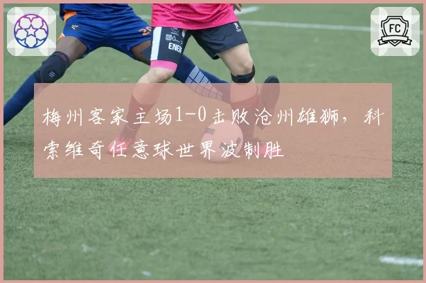梅州客家主场1-0击败沧州雄狮,科索维奇任意球世界波制胜