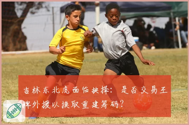 吉林东北虎面临抉择:是否交易王牌外援以换取重建筹码?